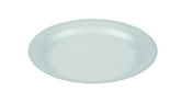 9-Inch-Foam-Paper-Plates